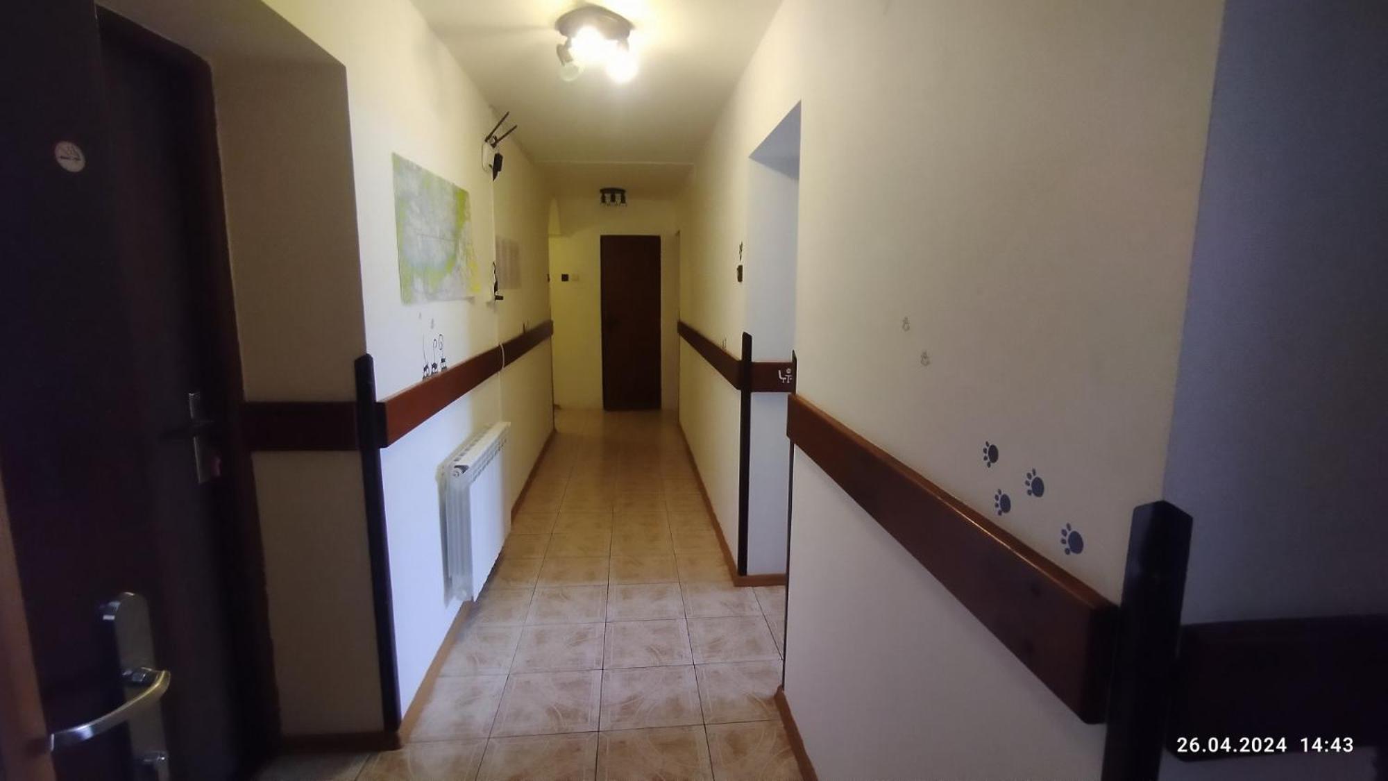 Hotel Lucky Cat Nová Lesná Pokój zdjęcie